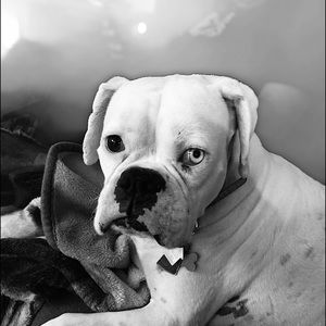 Meet your Posher, Amy